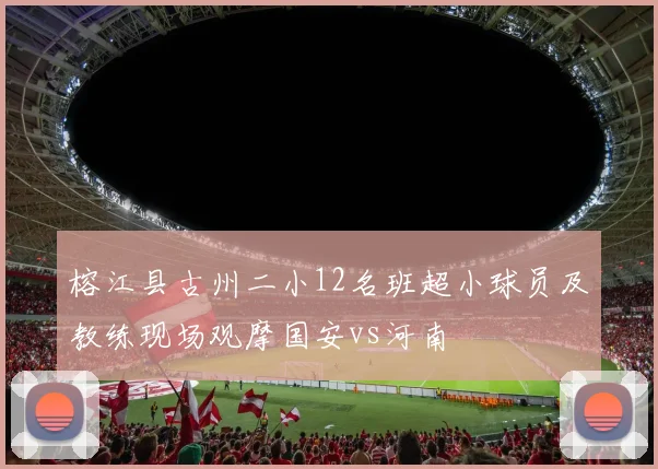榕江县古州二小12名班超小球员及教练现场观摩国安vs河南